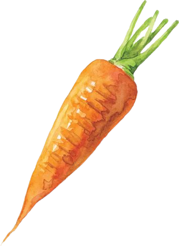 Carrot