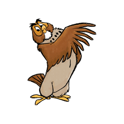 owl